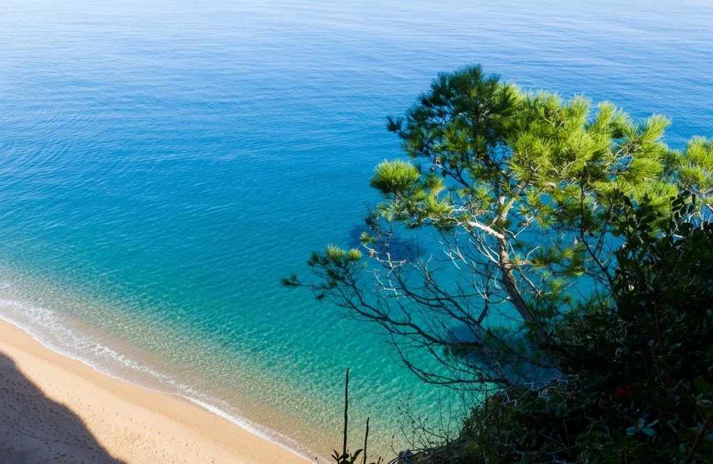 allotjament a begur